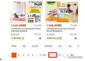 国产100页  第3张