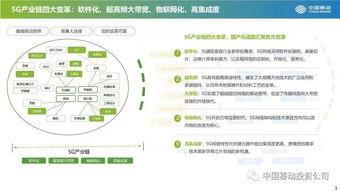 国产21页,揭秘我国科技发展的新篇章  第3张