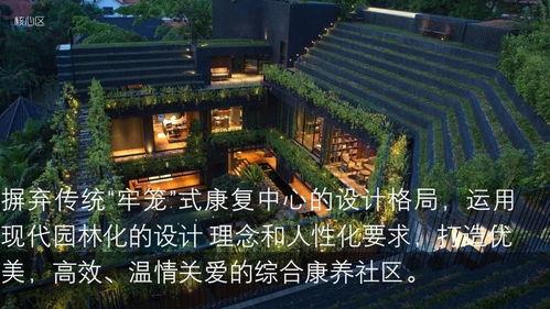 国产综合社区,打造多元化互动平台，引领网络文化新潮流  第2张