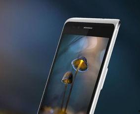 手机国产在线,在线市场的新星闪耀  第2张