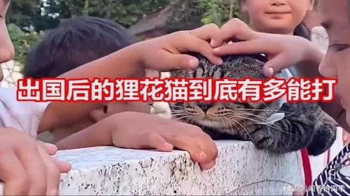 国产咪咪,引领时尚潮流的本土品牌新势力  第3张