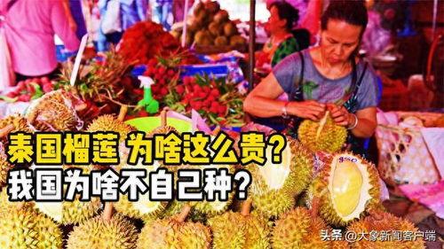 91华人国产  第2张