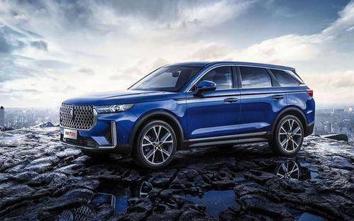 中出国产  第3张