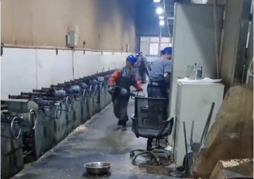 国产看片基地,揭秘看片基地的精彩世界 第2张 国产看片基地,揭秘看片基地的精彩世界 第2张